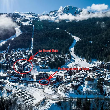 2p Au Coeur Des 3 Vallees, Skis Aux Pieds, Balcon Est, 4 Pers., La Tania - Fr-1-182a-25 Apartment